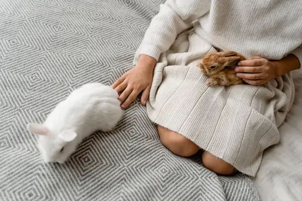 Dos conejos domésticos junto a una niña sentada en la cama