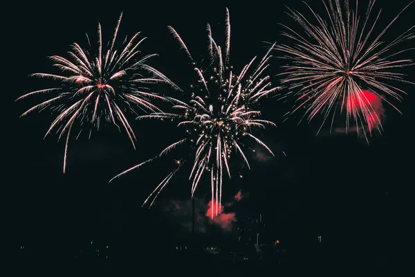Fuegos artificiales en el cielo nocturno