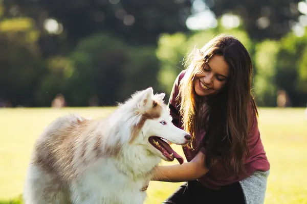 Mujer jugando con su husky sobre el césped de un parque